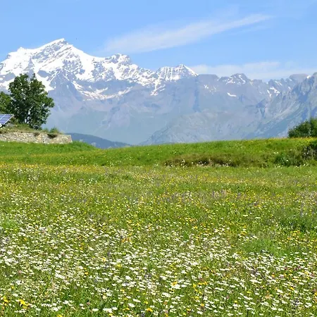 Lo Coppa Fen Aosta